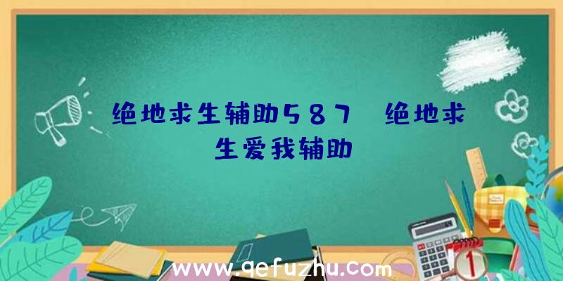 「绝地求生辅助587」|绝地求生爱我辅助